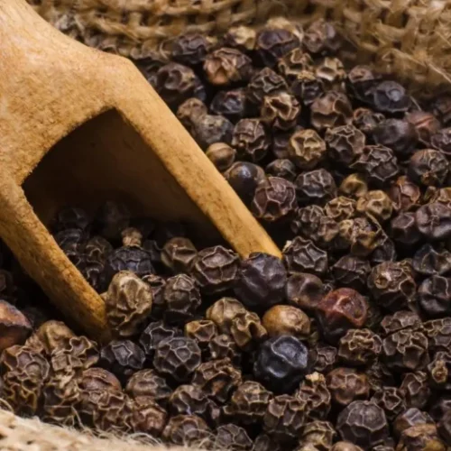 BLACK-PEPPER-518x610